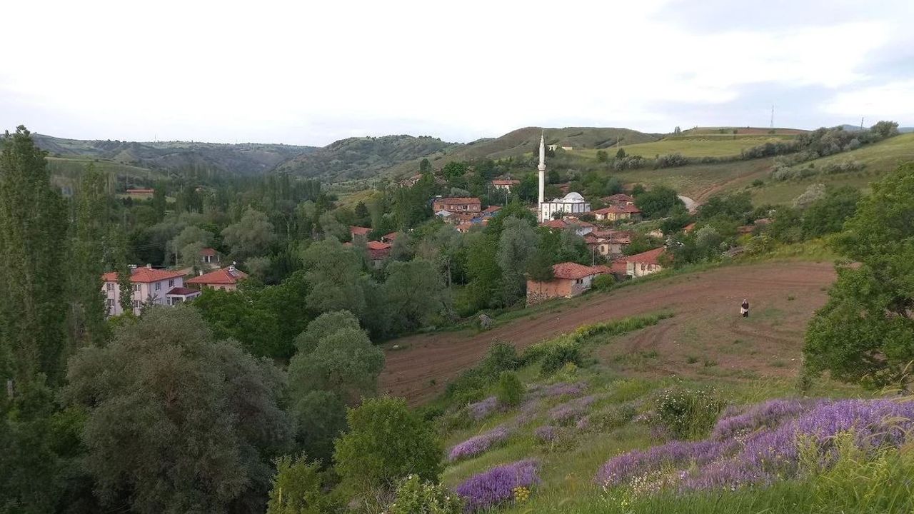 Çorum’da 20 köyde 67 adet hazine arazisi satışa çıktı! İşte o köyler