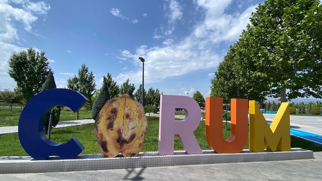 Çorum kişi başı gelirde 81 il arasında 55. Sırada