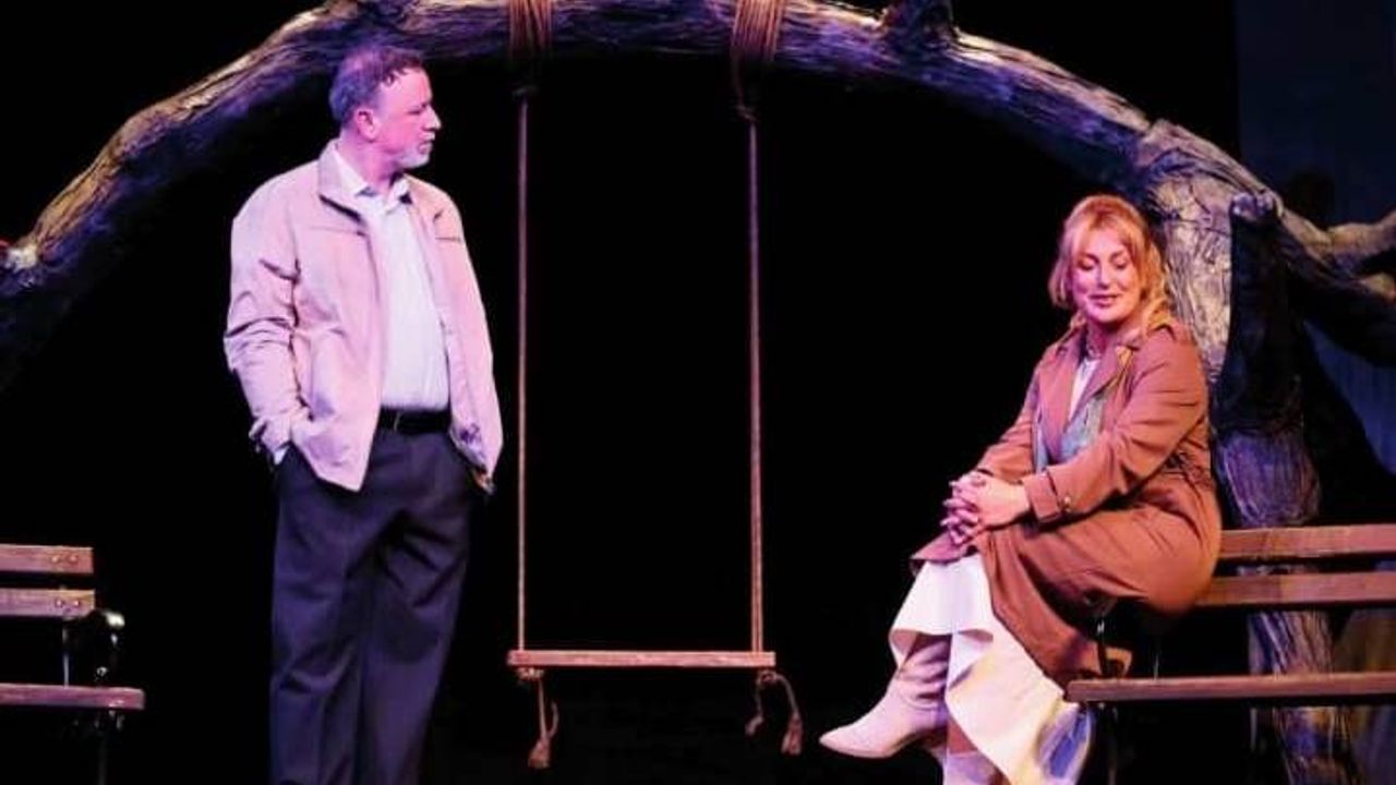 “Yalancının Resmi”