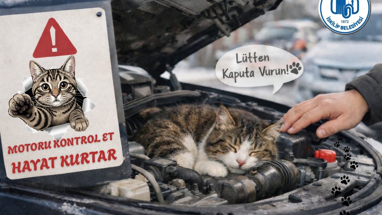 İskilip Belediyesi’nden vatandaşa hayati uyarı:  “Kaputa vur, hayat kurtar”