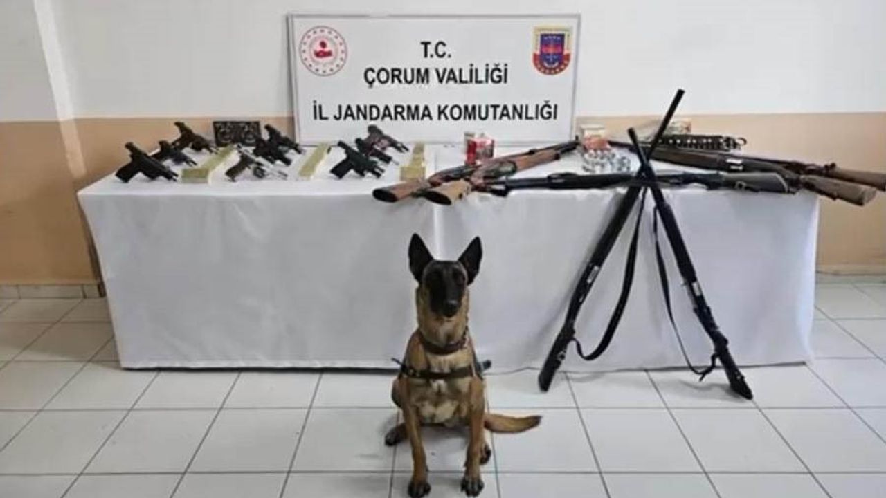 Bakan Yerlikaya: "4 adet kaçak silah imalathanesini deşifre ettik"