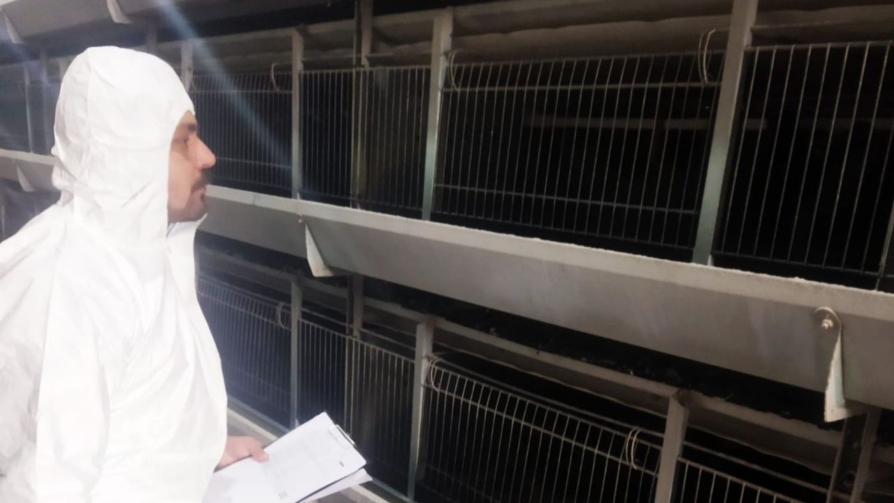 Çorum’da kanatlı hayvan  işletmelerine sıkı denetim