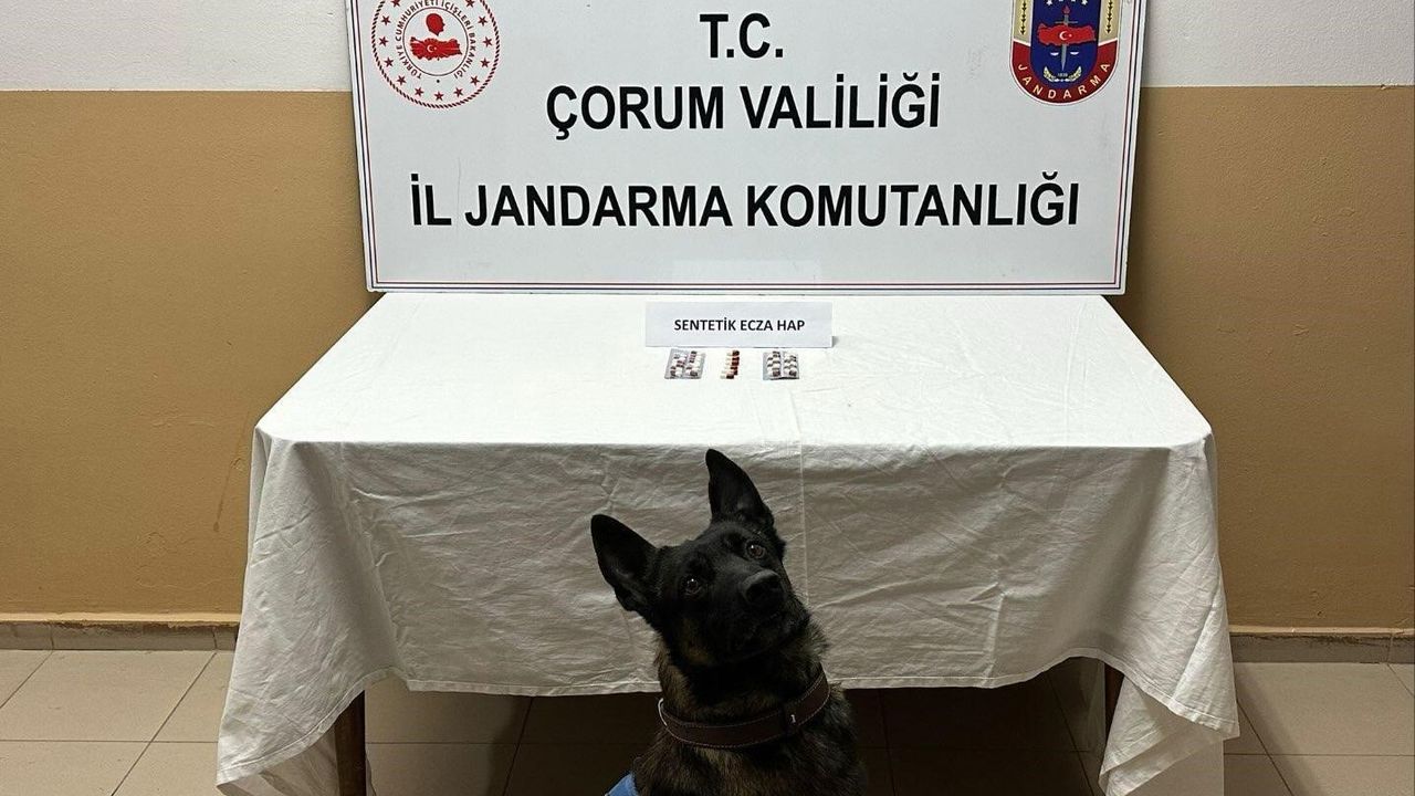 Uyuşturucu hapla yakalanan 3 kişi gözaltına alındı