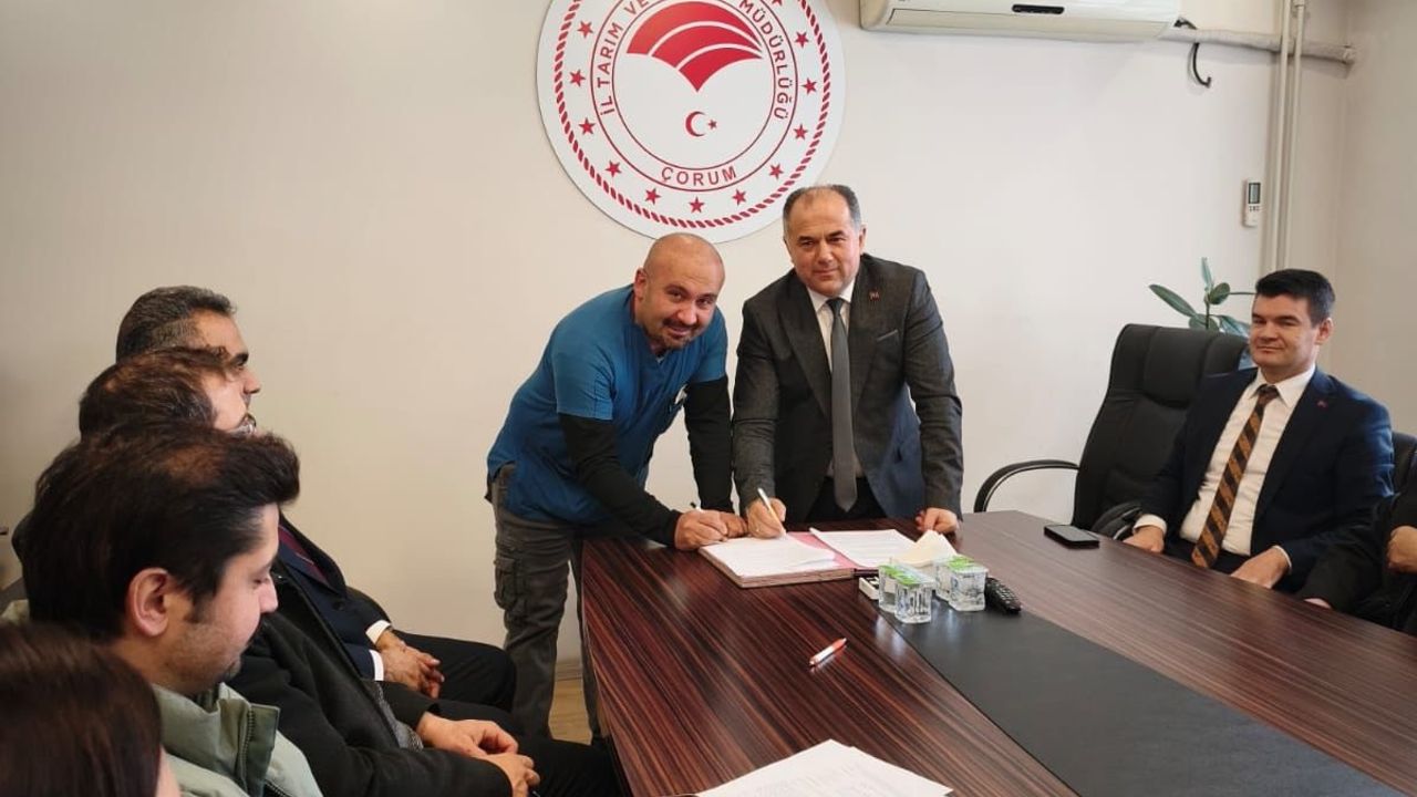 Suni tohumlama çalışmaları başladı