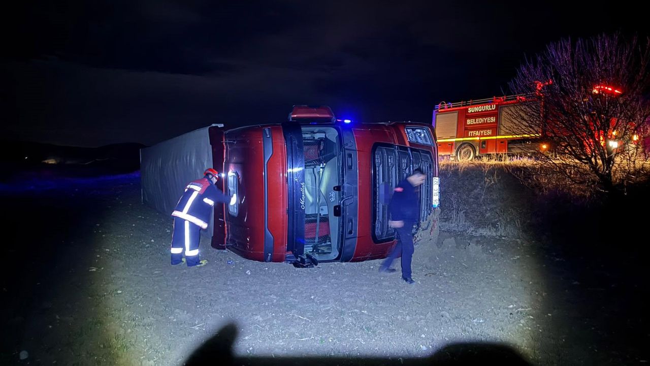 Köpeğe çarpmamak için manevra yapan TIR şarampole devrildi