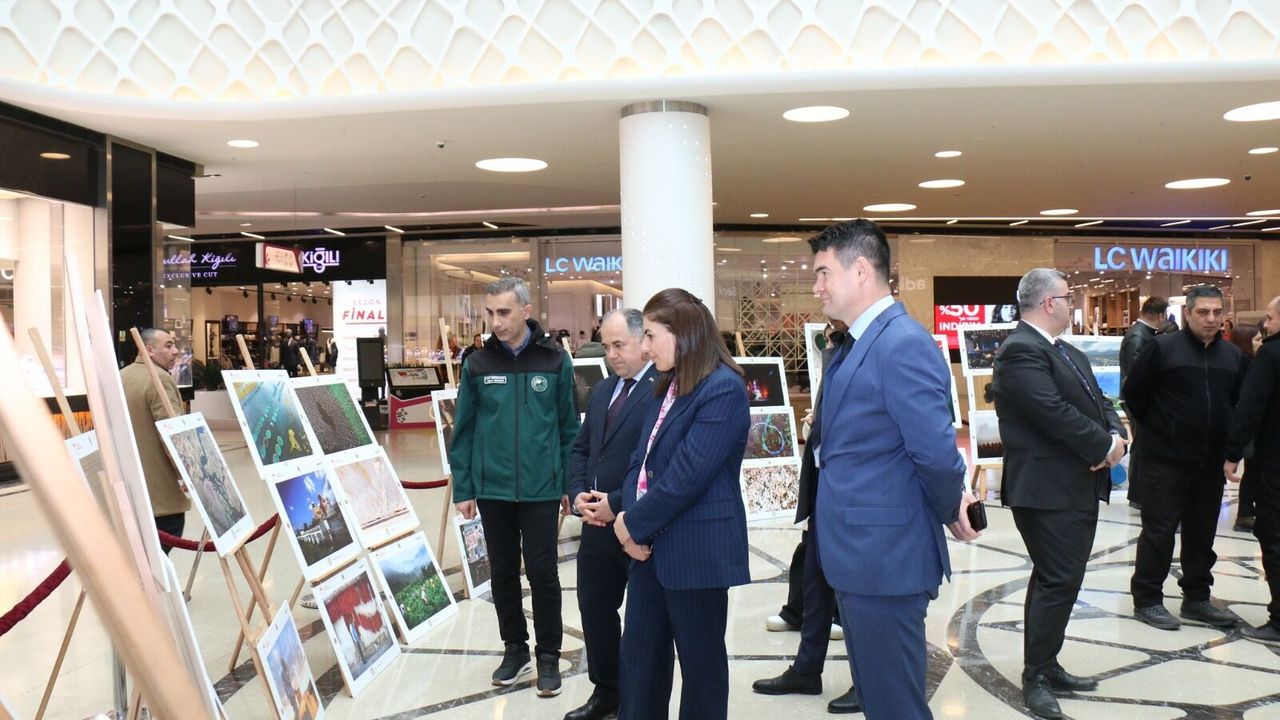 Ödüllü doğa fotoğrafları  AHL Park’ta sergileniyor