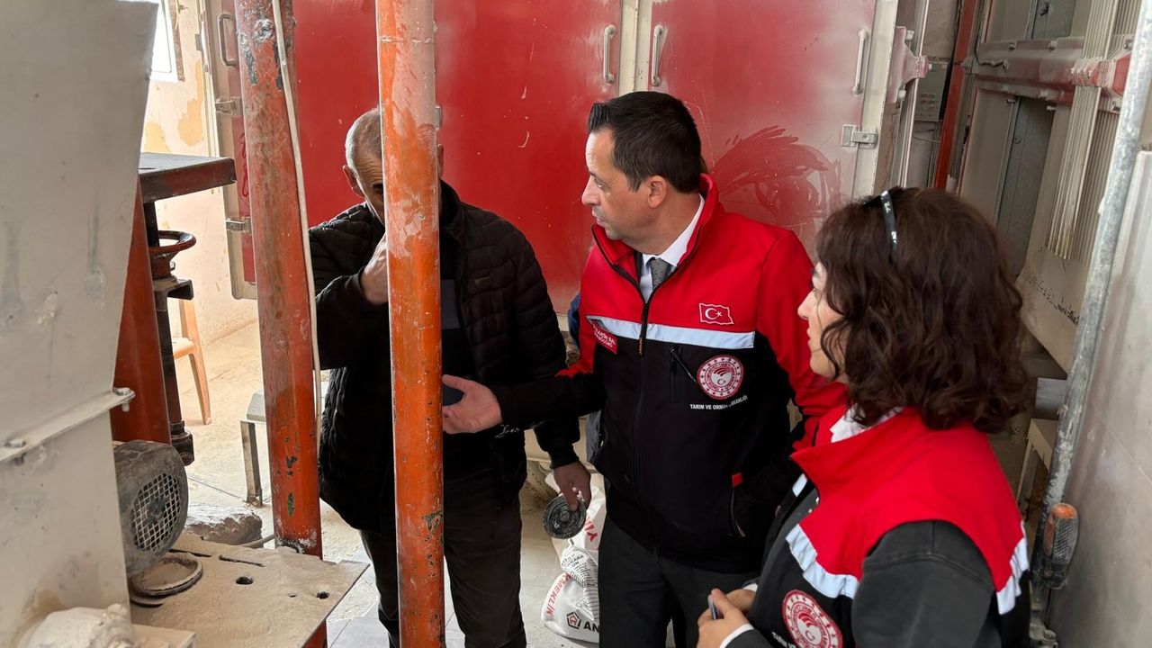 Tam buğday ekmeği  denetimleri sürüyor