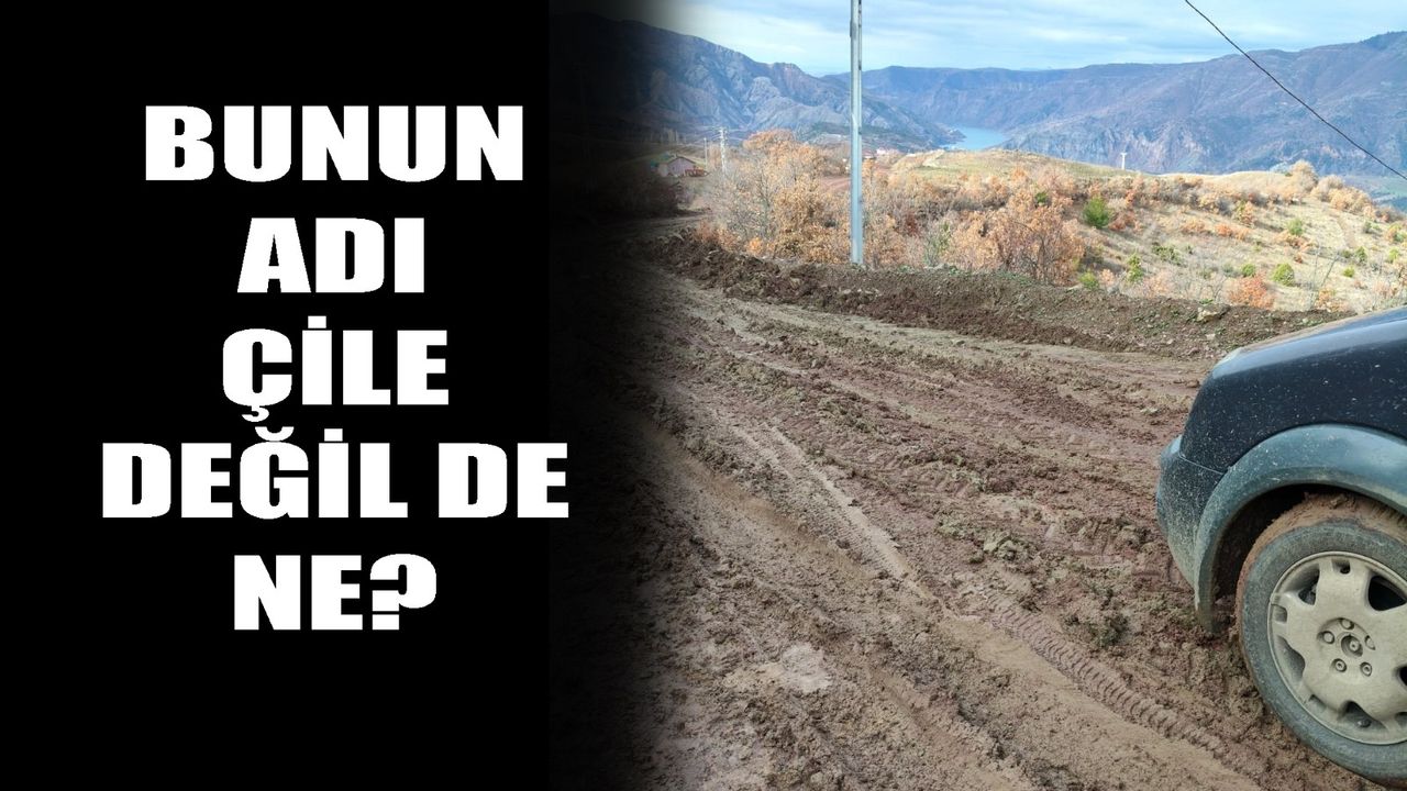 Bunun adı çile değil de ne?