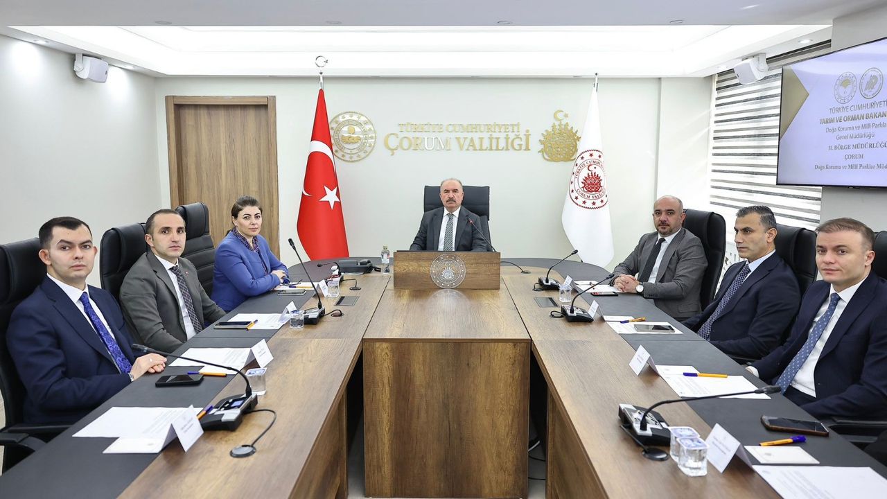 “Sahipsiz sokak hayvanları konusunda önemli ilerleme kaydedildi”