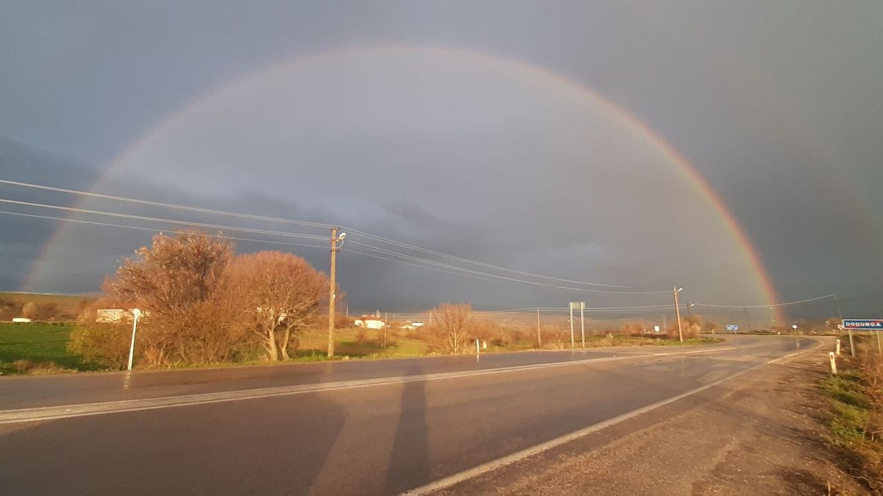 Yağmurun ardından  gelen renk cümbüşü