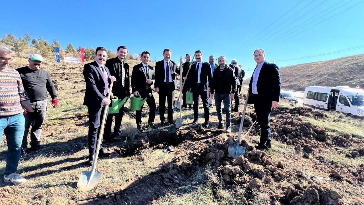 Adliye personeli fidan dikti