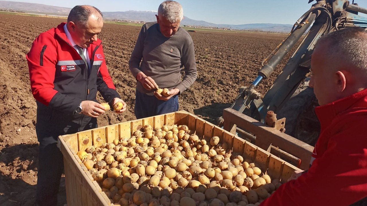 Bozboğa’da hububat  ve patates incelemesi