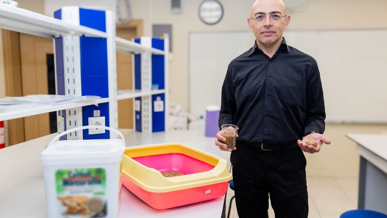 Ceviz kabuğundan  “kedi kumu” üretti