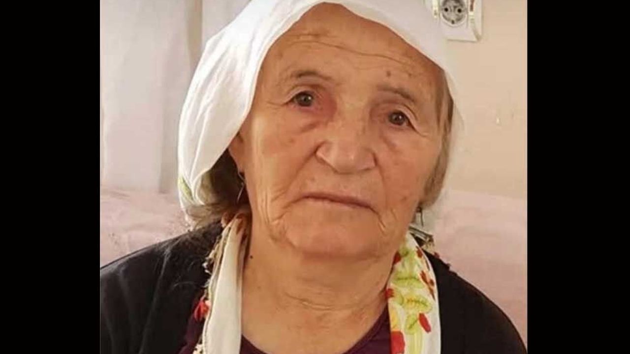 Asırlık çınar Hanife  Cerit hayatını kaybetti