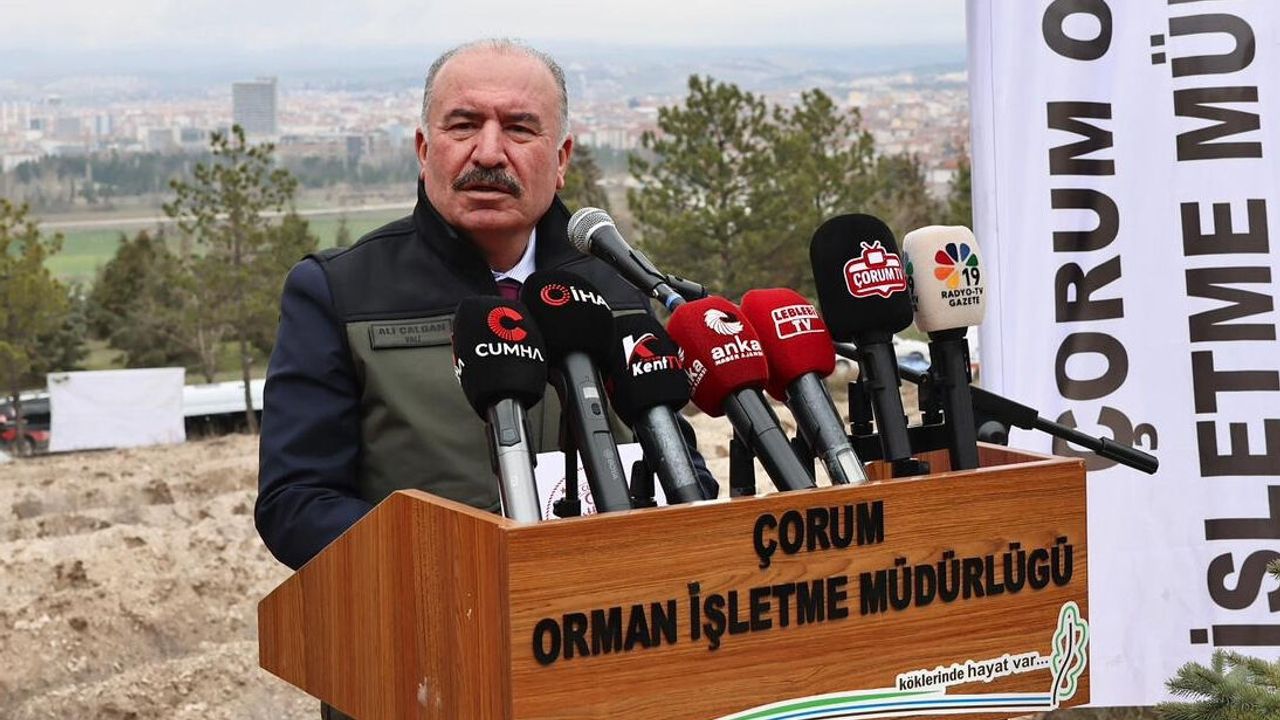 “Çorum’da orman varlığımız ülke ortalamasının üzerinde”
