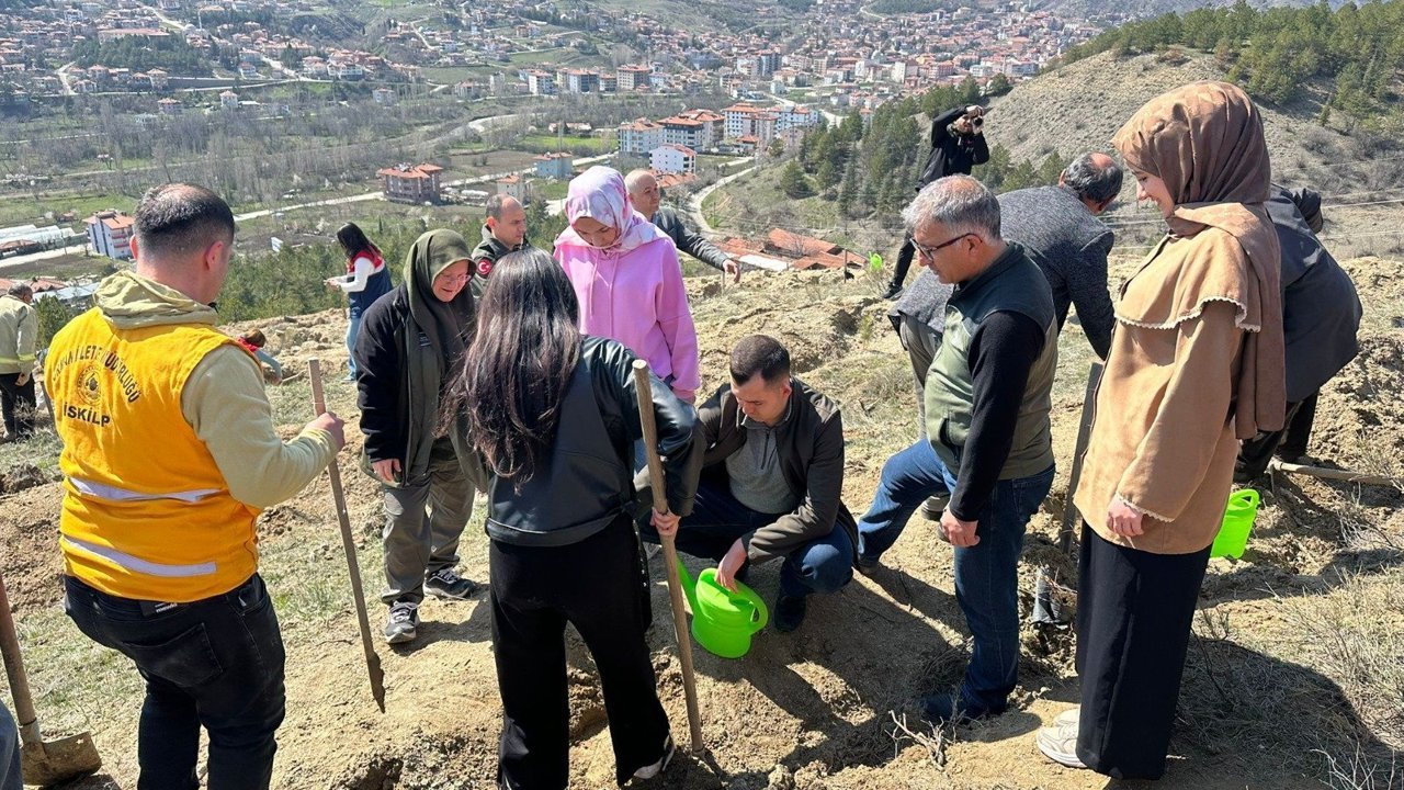 Bayat'ta 105 fidan  toprakla buluşturuldu