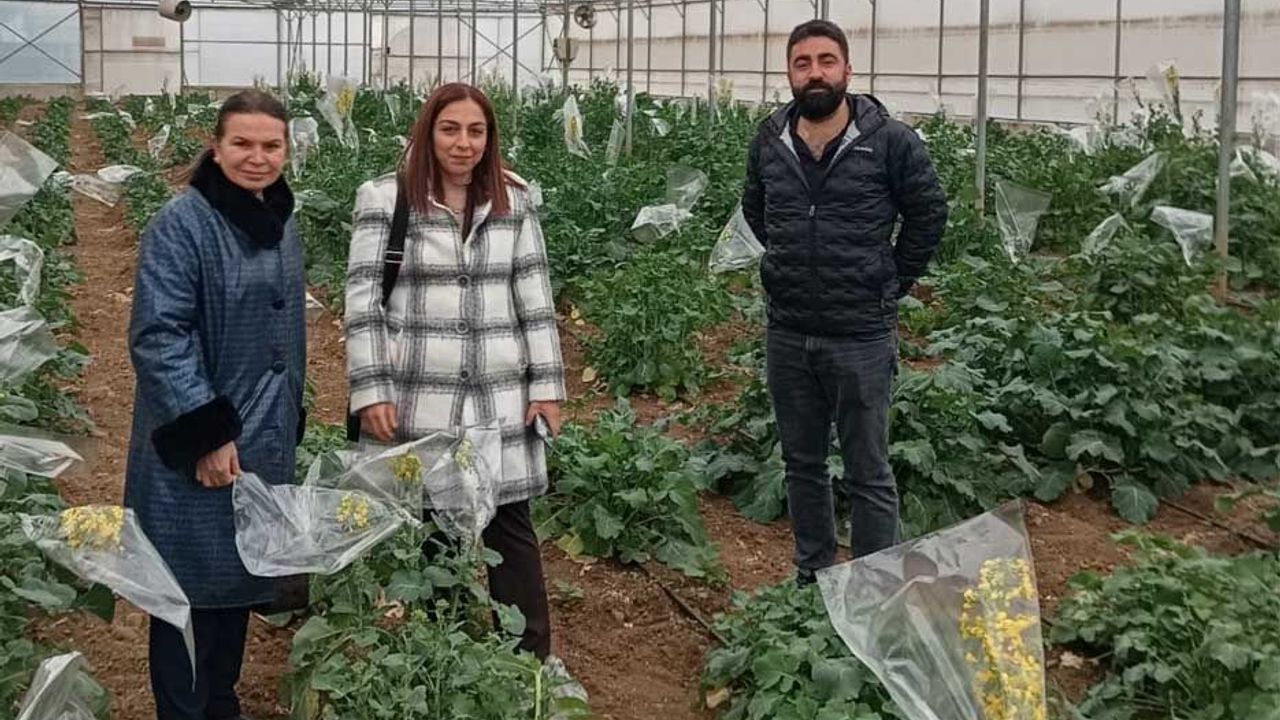 Karadeniz Tarımsal Araştırma Enstitüsü’ne ziyaret