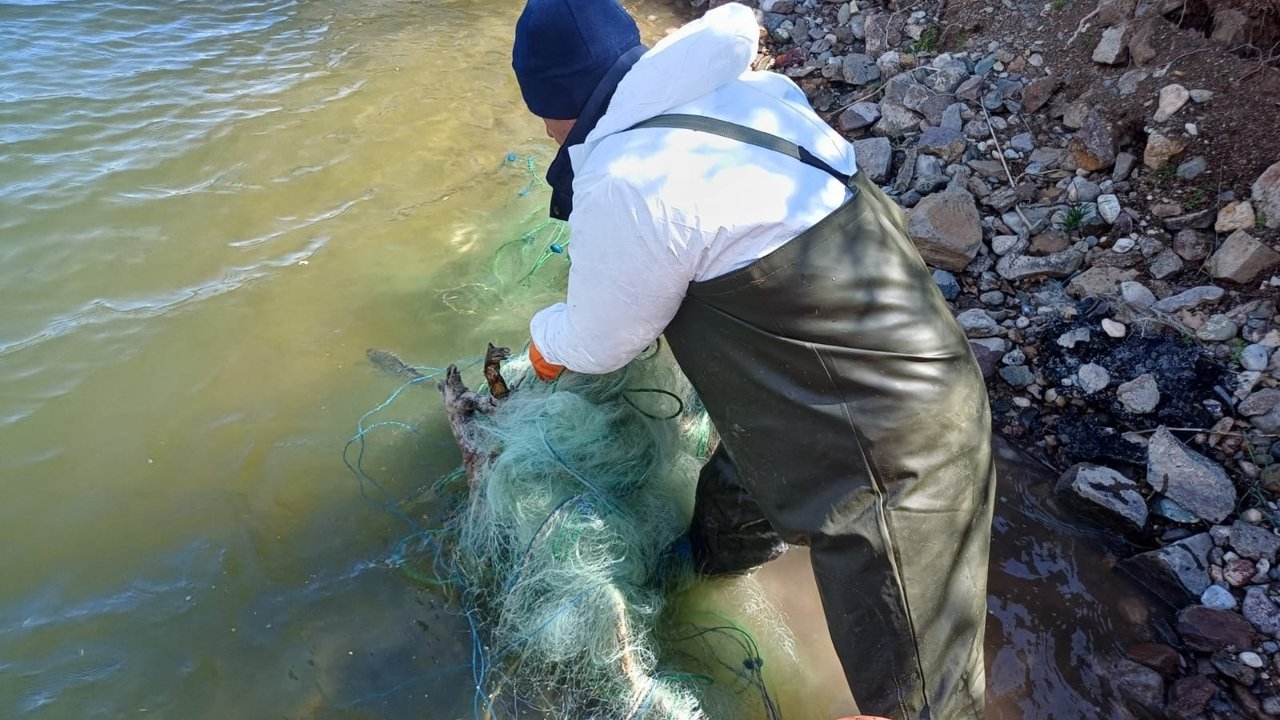 Çorum’da kaçak avcılığa geçit yok