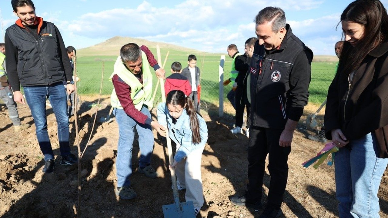 Sungurlu'da Çocuk ve Genç  Meclisi üyeleri fidan dikti
