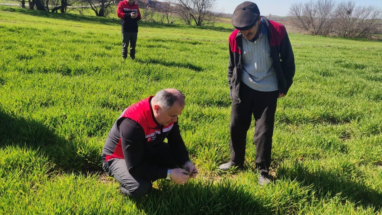 İskilip’te mera ıslah projesi