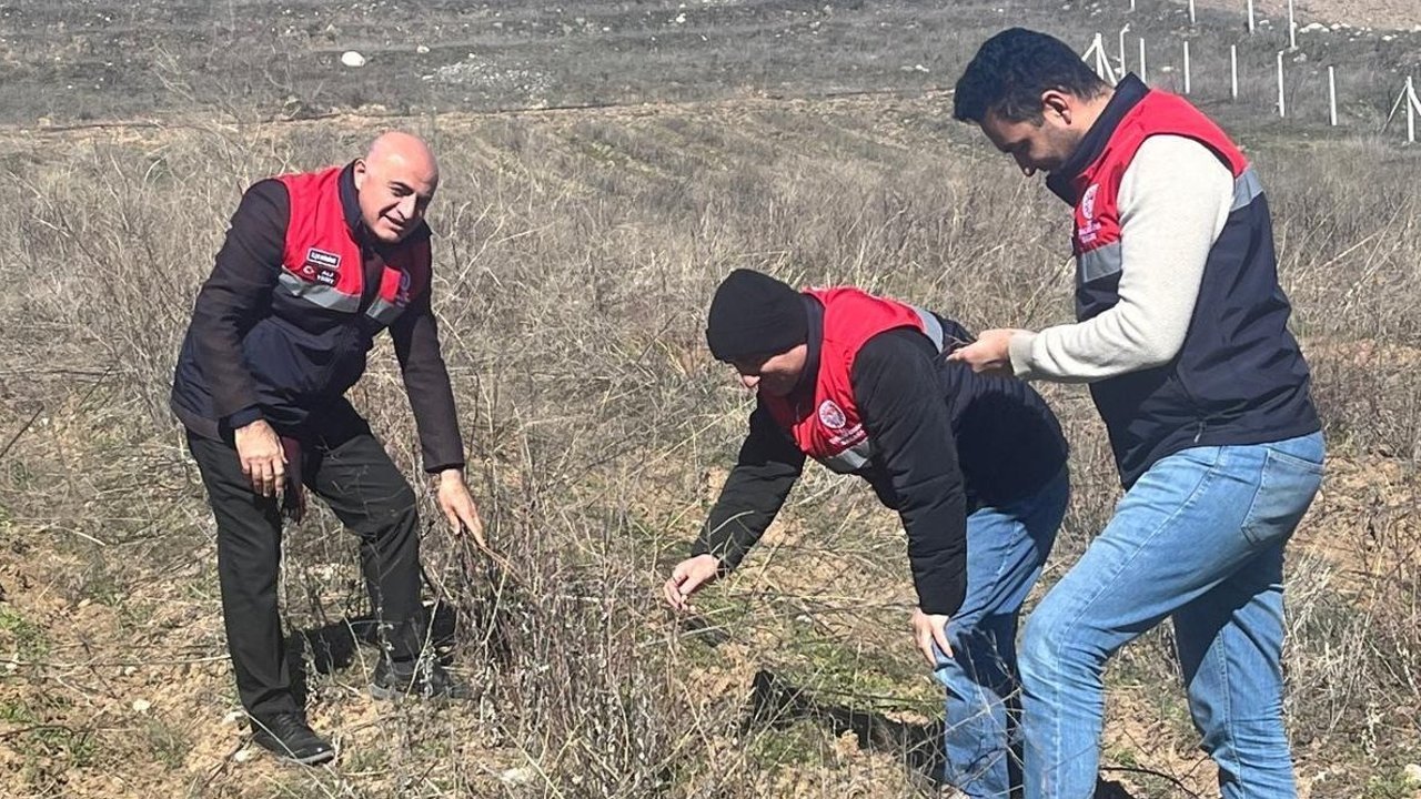 Sertifikalı aronya  bahçesi denetlendi