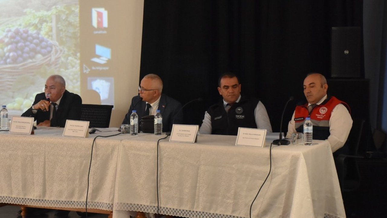 Çorum'da bağcılığın geleceği ele alındı