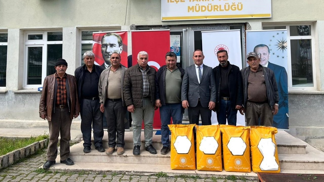 Üreticilere yüzde 50 hibeli  ayçiçeği tohumu dağıtıldı