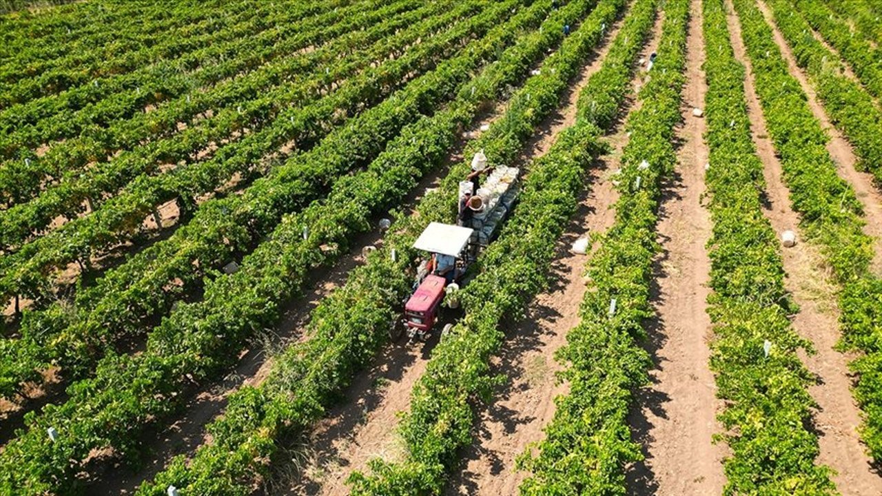 Çiftçiye 17.4 milyar destek ödemesi bugün