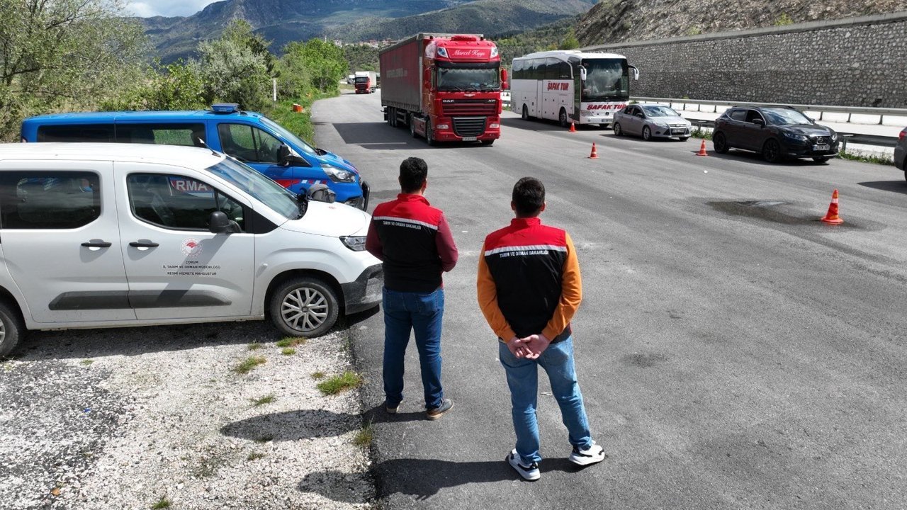 Kargı'da Kurban Bayramı öncesi   hayvan taşımacılığı denetimi