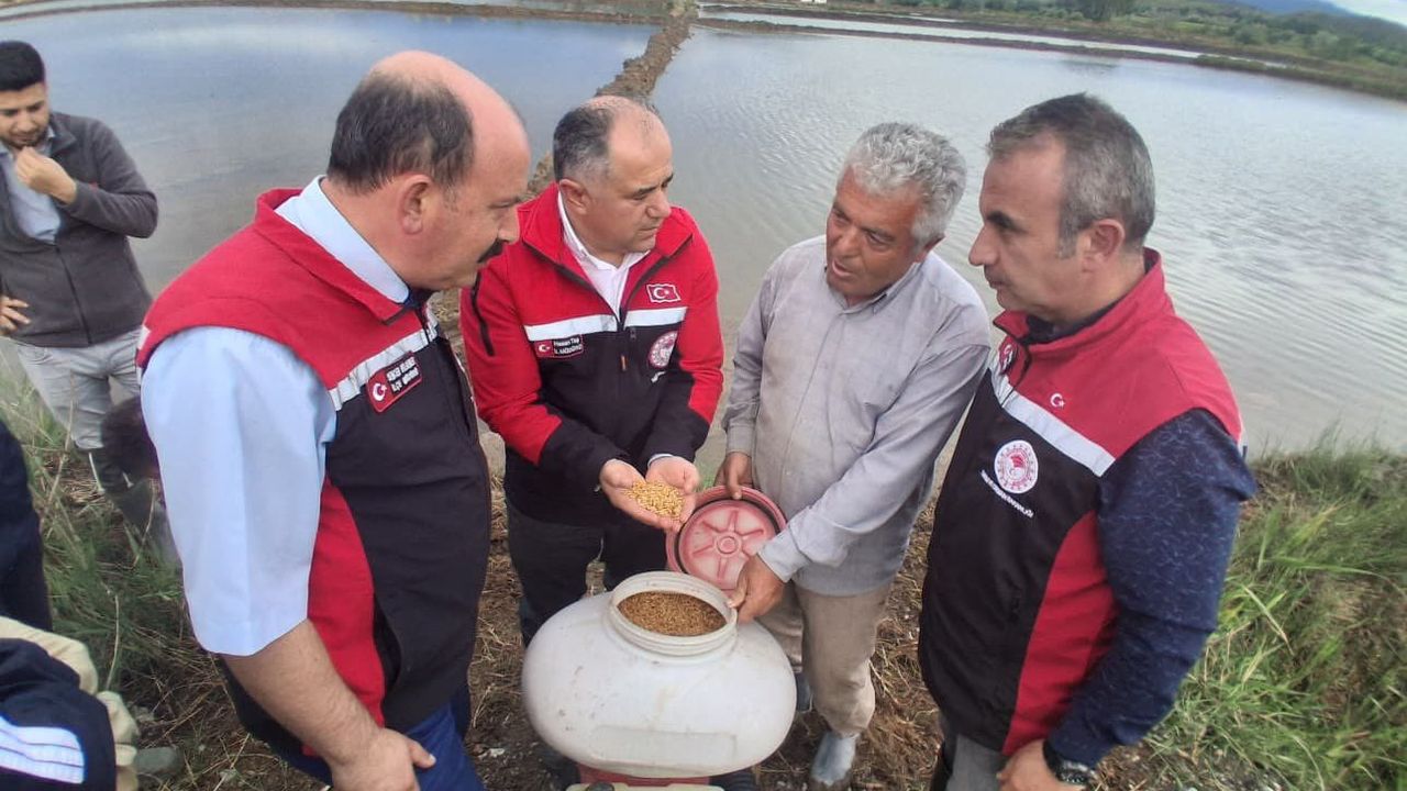Taş, çeltik üreticisi  ile sahada buluştu