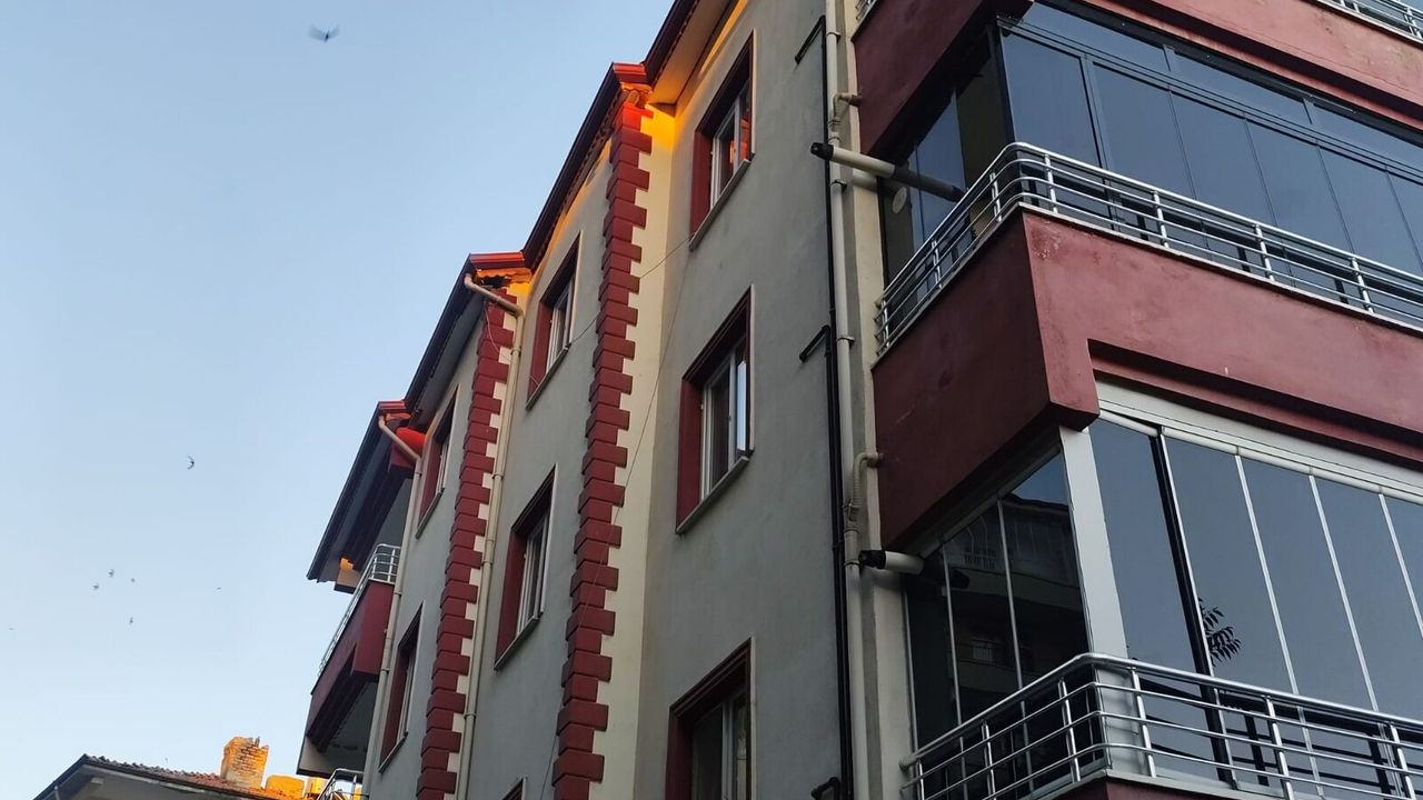 Binanın çatısına sıkışan kırlangıcı itfaiye kurtardı