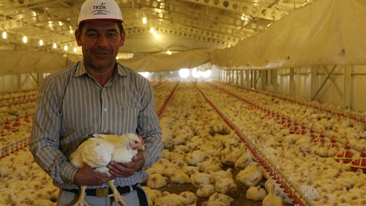 TKDK’dan hayvancılığa 30  milyon avroluk dev hibe