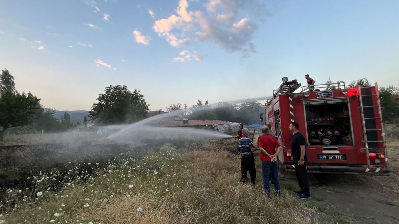 Osmancık’ta çıkan ot  yangını söndürüldü