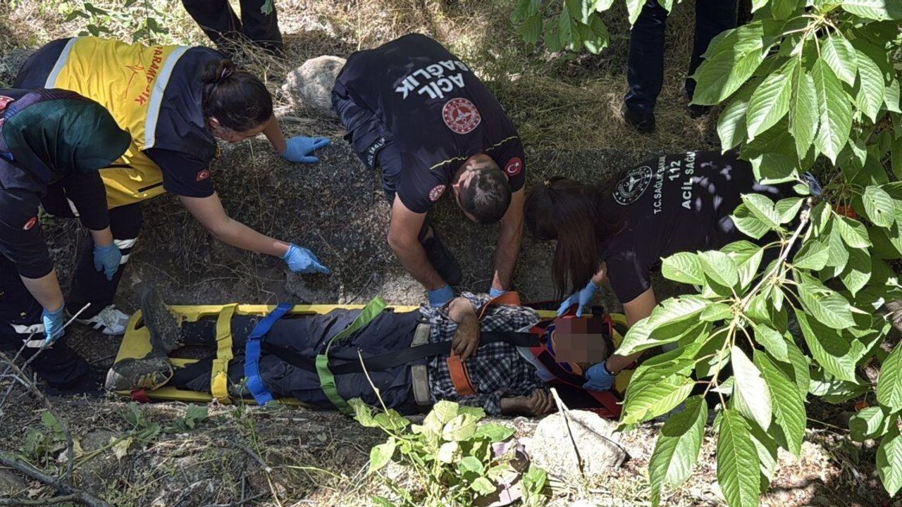 Çorum'da kiraz toplarken hastanelik oldu