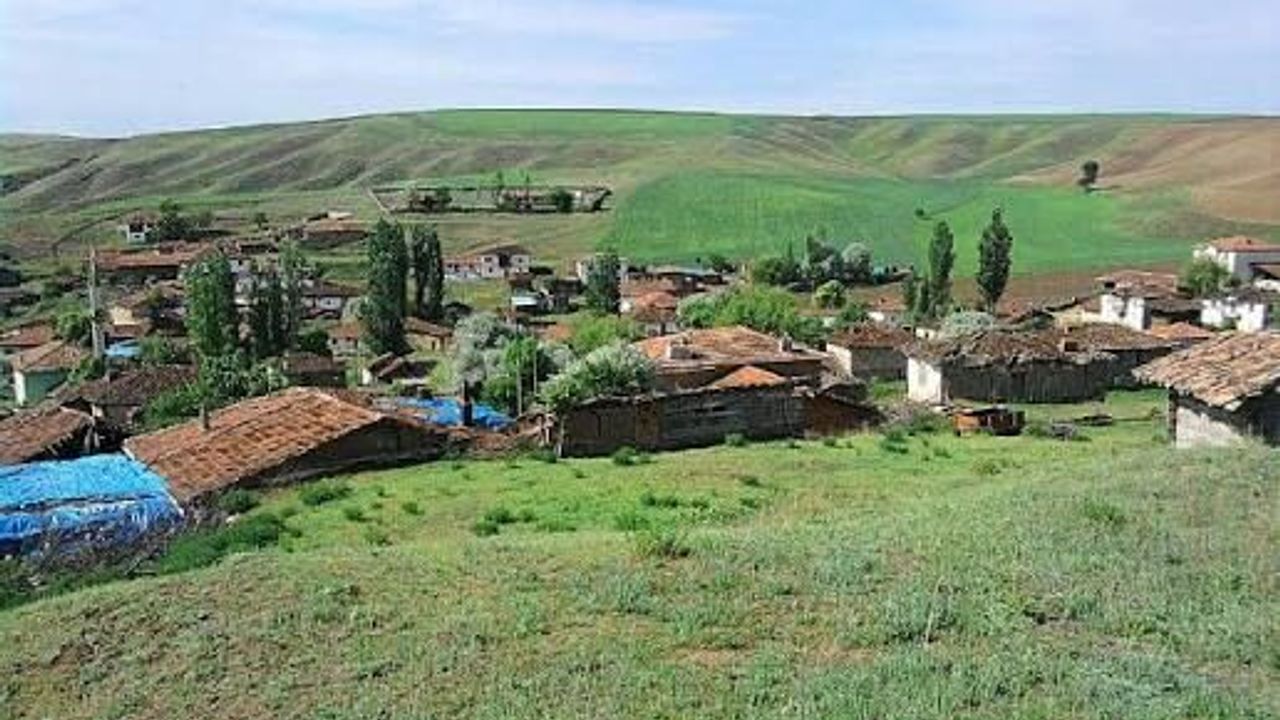 Çorum'da 4 köyde hazine arazileri satışa çıktı! İşte o köyler