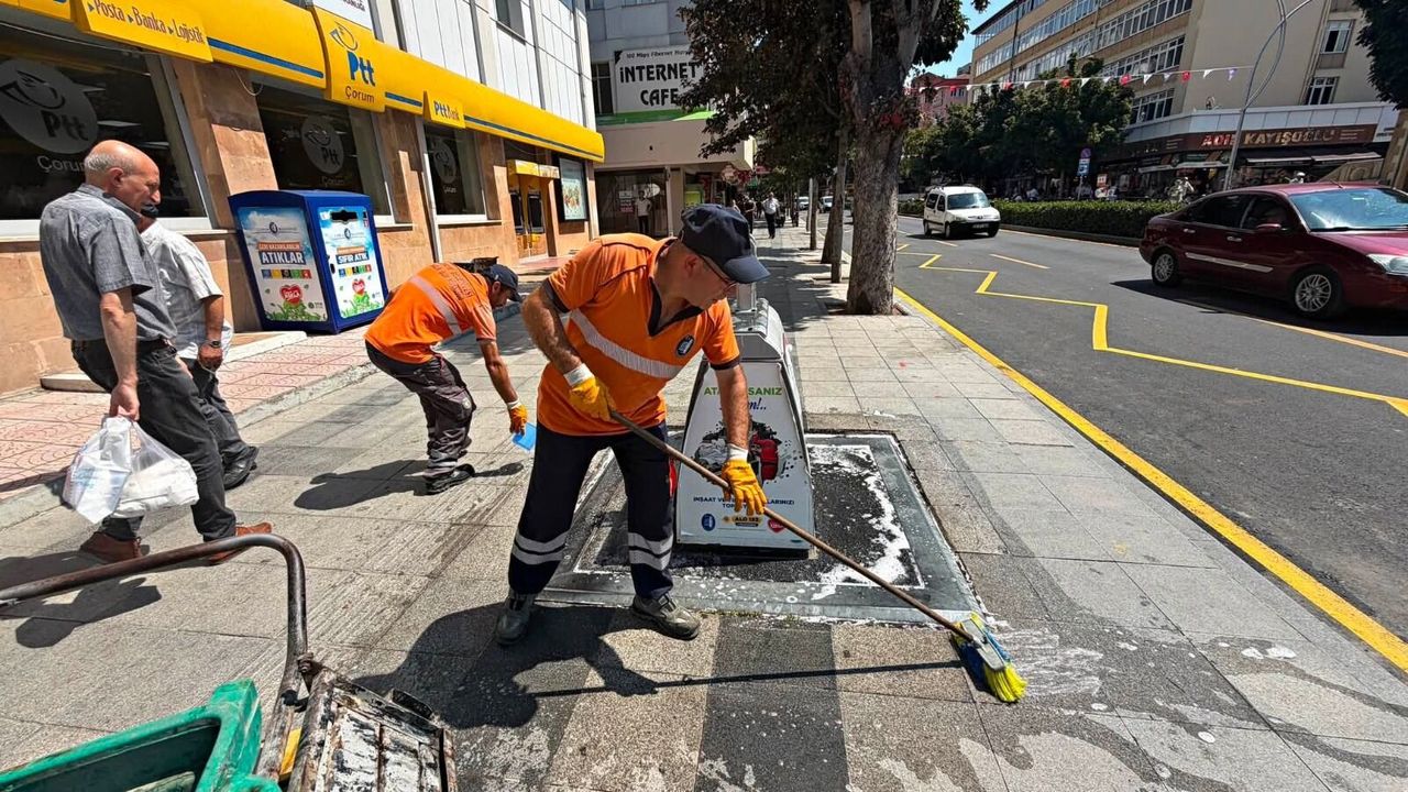 Çöp konteynerlerinin  temizliği devam ediyor
