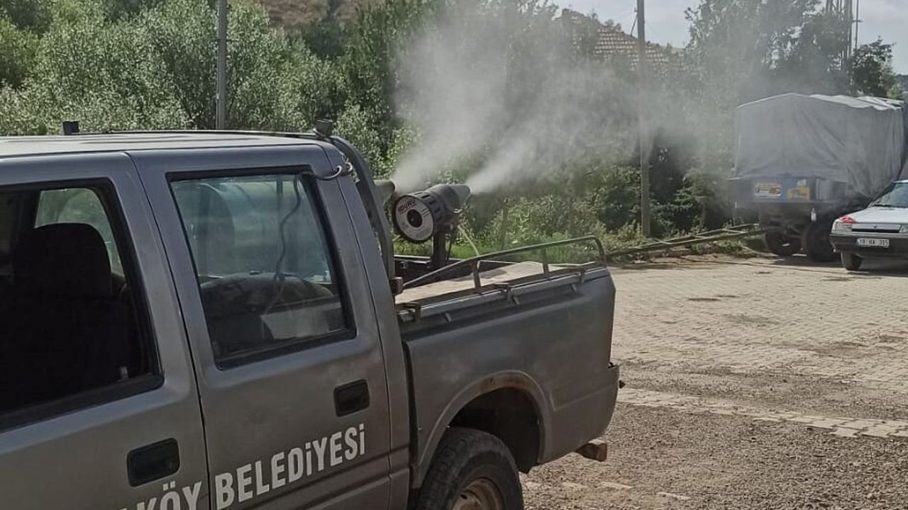 Ortaköy’de sinekle  mücadele seferberliği