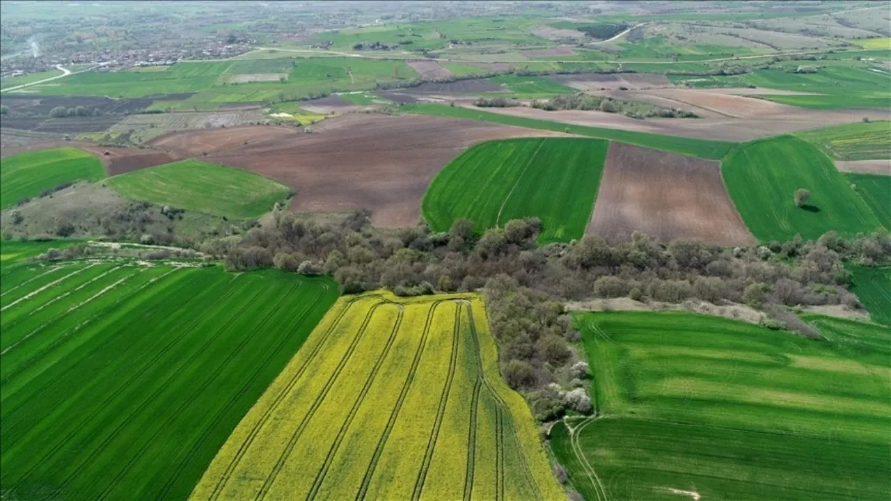 Belediye 7 arsasını satıyor! İşte fiyatları