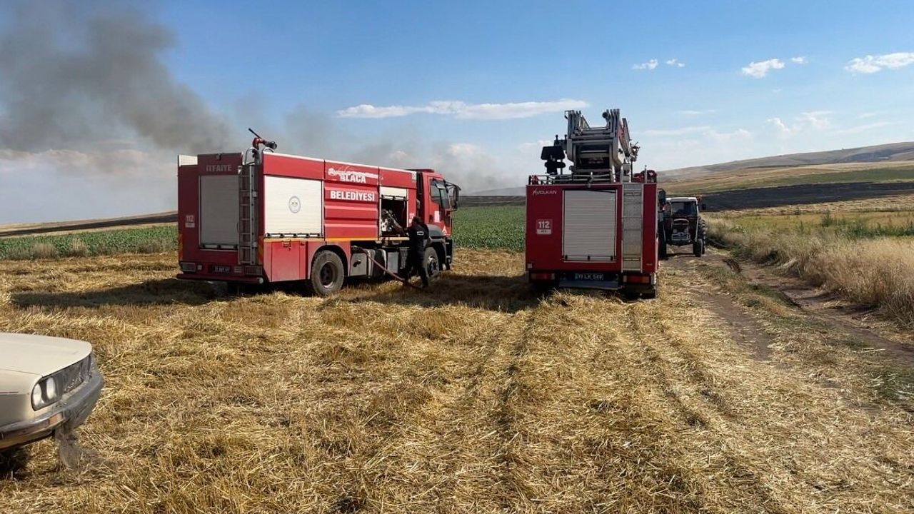 150 dönüm  arazi kül oldu