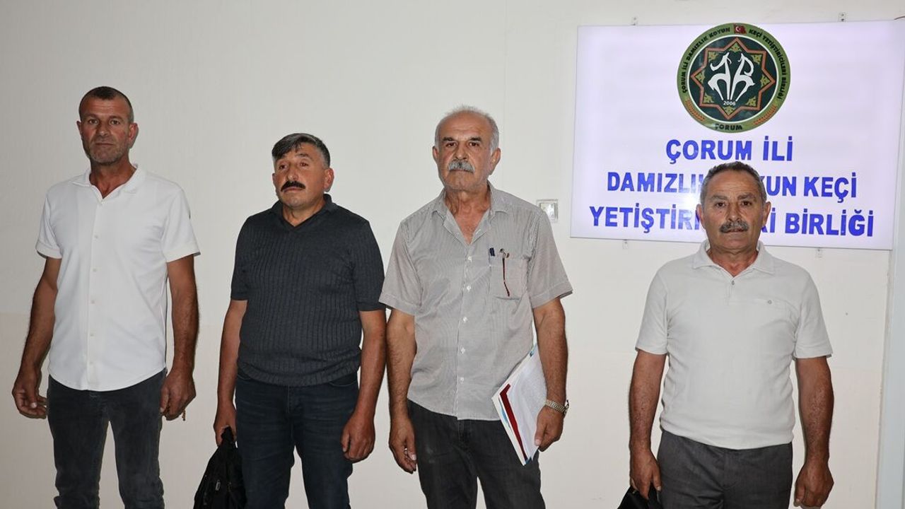 Görevden alma kararı mahkemelik oldu!