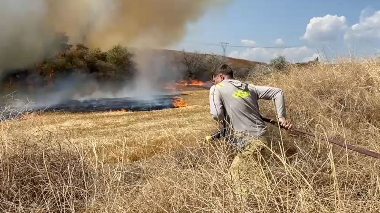 Çorum'da anız yangını ağaçlık alana sıçradı, 400 dekara yayıldı