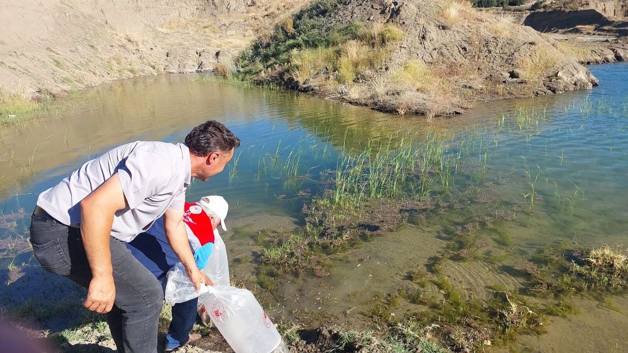 Gölet ve barajlara yavru balık bırakıldı