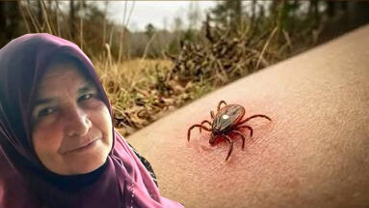 Kene ısırması sonucu rahatsızlanan  kadın tedavi gördüğü hastanede öldü