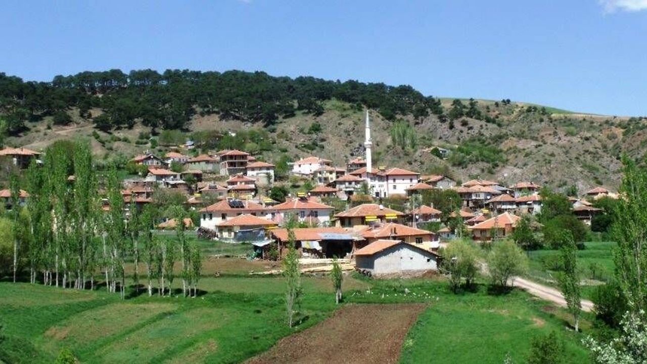 Çorum'da 2 köyde hazine arazileri satışa çıktı! İşte o köyler
