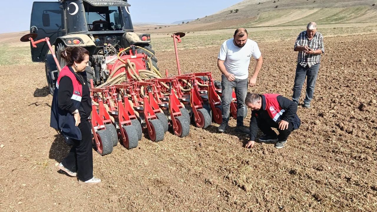 Mecitözü’nde kanola ekimi