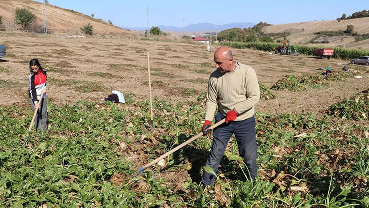Pancar fiyatı Çorumlu üreticiyi memnun etmedi