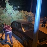 Çorum’da rüzgarın devirdiği çam ağacı park halindeki araçlara zarar verdi