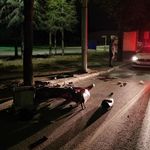 Motosiklet kontrolden çıktı sürücü ağır yaralandı