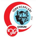 Türk Ocakları’ndan TBMM’ye “hayır” çağrısı