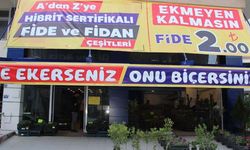 Karaoğlan, Çorum halkına kaliteli fide ve fidan çeşitlerini de sunuyor